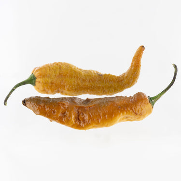 Gold Ghost Pepper Seeds - The Pepper Pantry (Formerly Marie Sharp's)